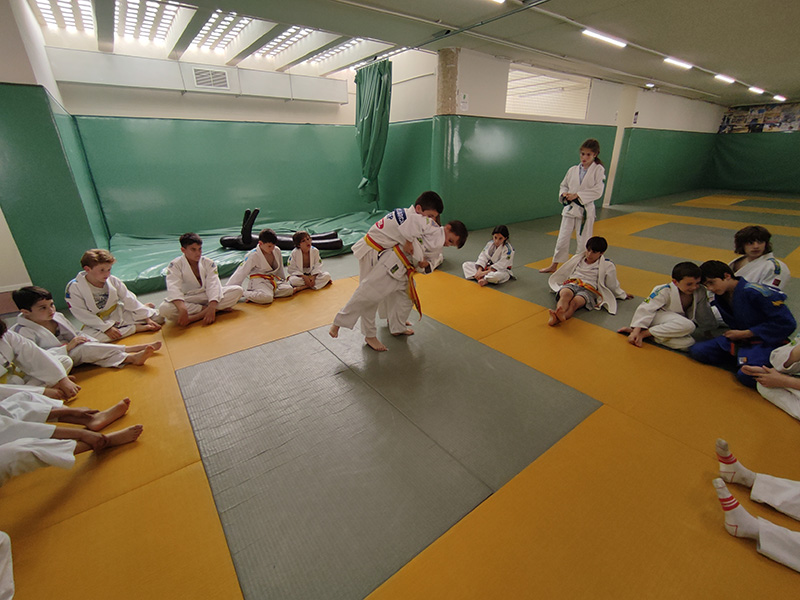 judoalbaw6